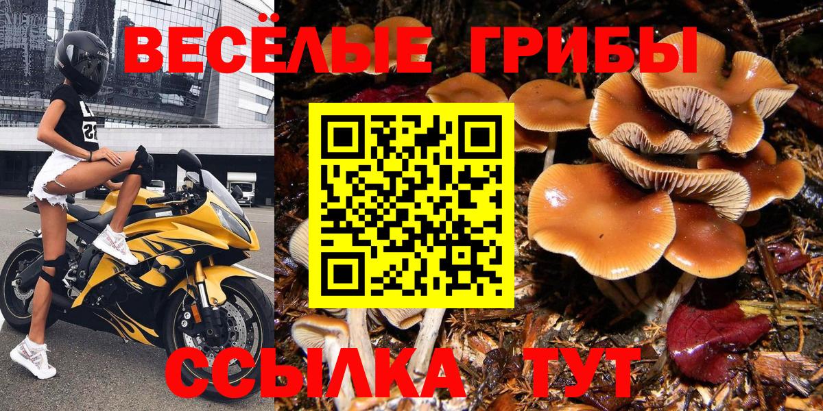 Псилоцибиновые грибы GOLDEN TEACHER  Вход с VPN  Еманжелинск 